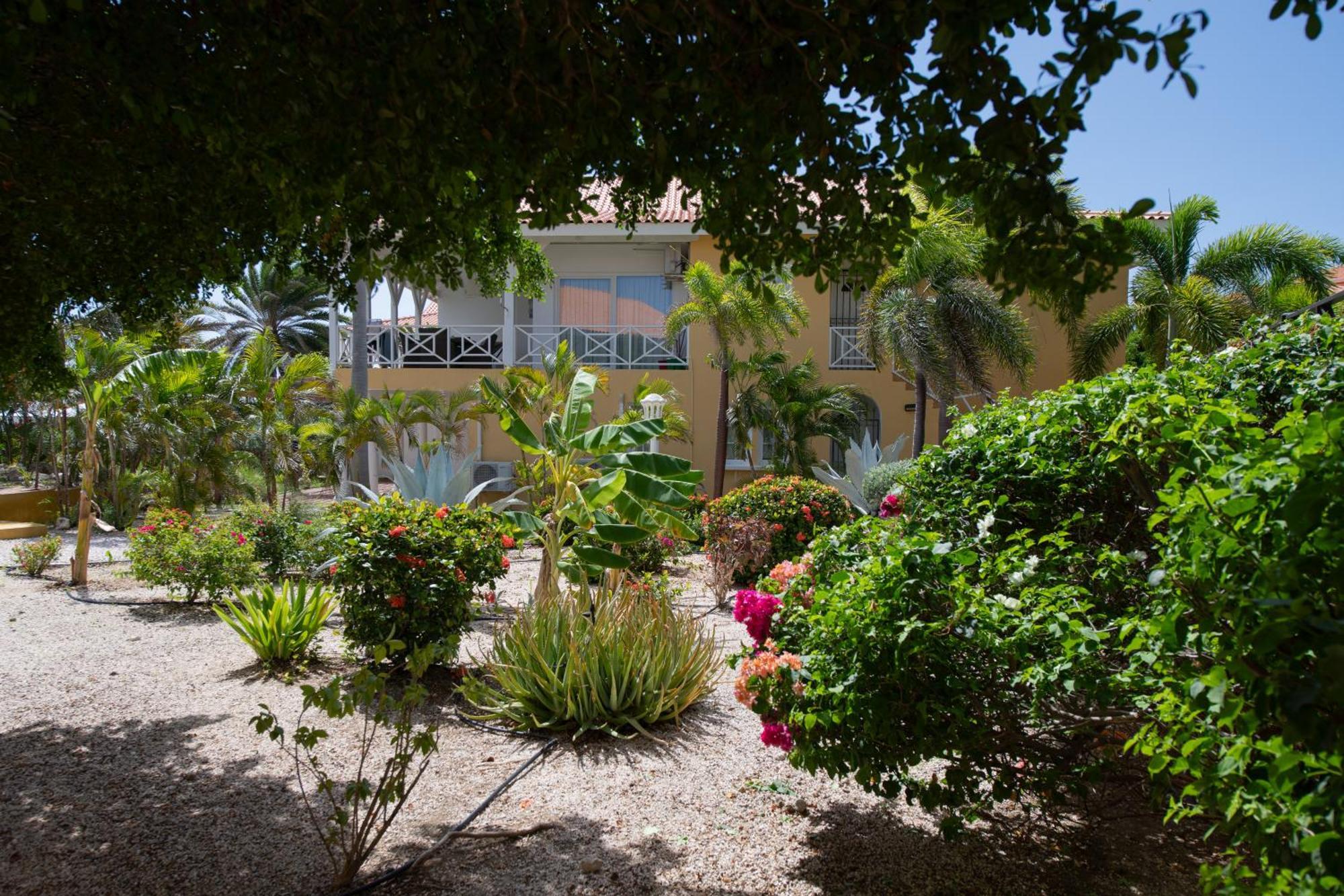 Masbango Beach Resort Jan Thiel Екстер'єр фото